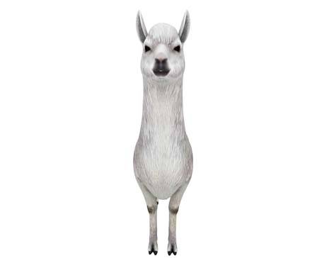 Alpaca by Nyilonelycompany