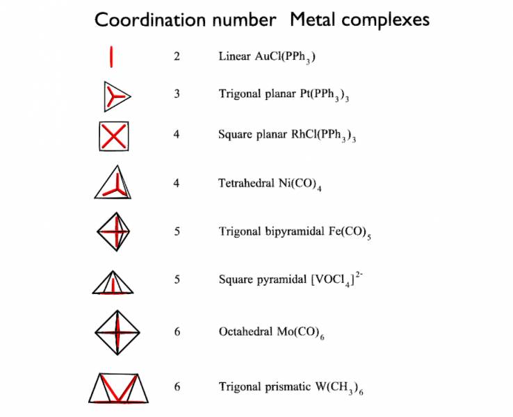 Geometry Metal Complexes