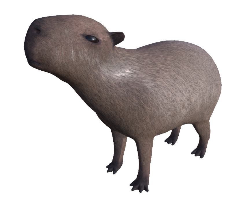 Capybara