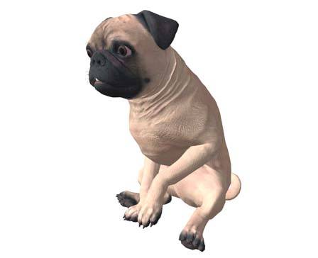 PUG Dog breed by Nyilonelycompany