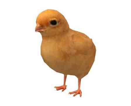 Animated Chick by FourthGreen