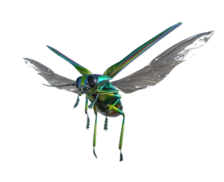 Jewel Beetle  by Nyilonelycompany