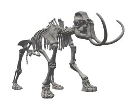 Mammouth d'Arques by archeopdc