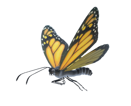 Animated Flying Fluttering Butterfly by LasquetiSpice