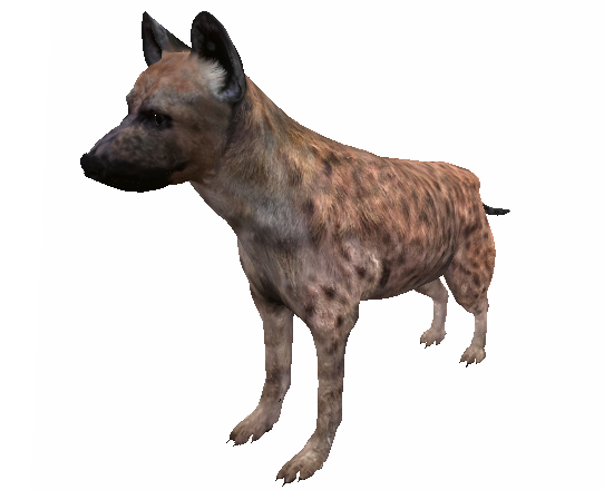 Hyena