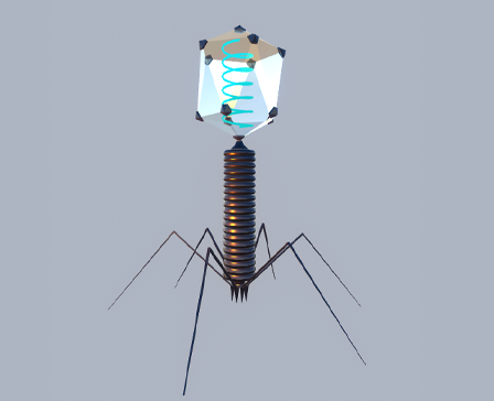 Bacteriophage
