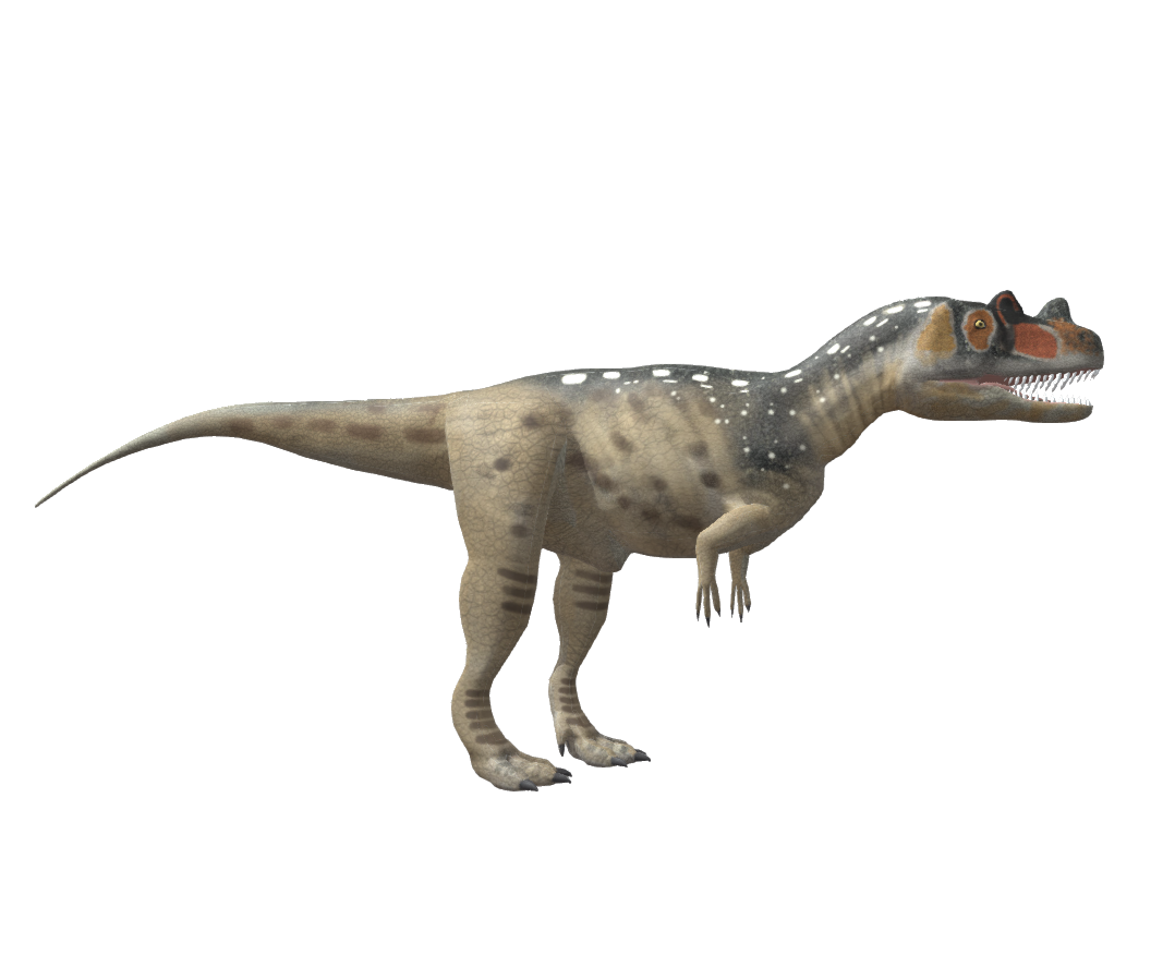 Ceratosaurus