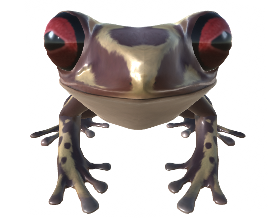 Bruno frog