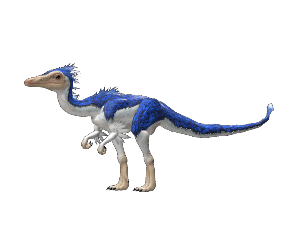 Compsognathus Longipes