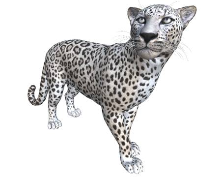 Arabian Leopard by Nyilonelycompany