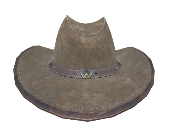 Cowboy Hat