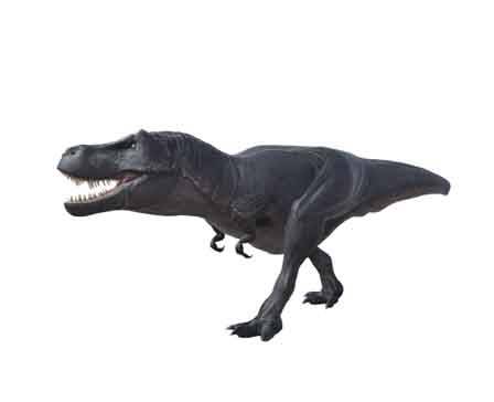 Tyrannosaurus Rex by D.art