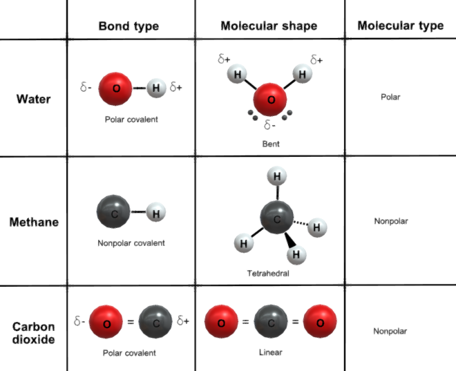 Polar and nonpolar covalent bonds