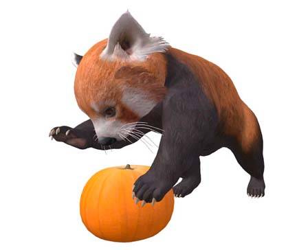 Red Panda by Nyilonelycompany