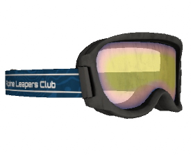 Ski Goggle