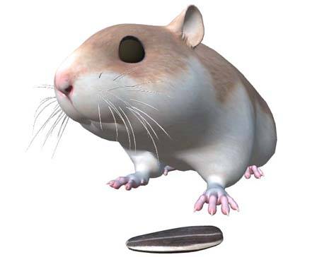 Hamster by Nyilonelycompany