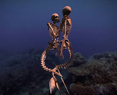 The Mortality Of Love