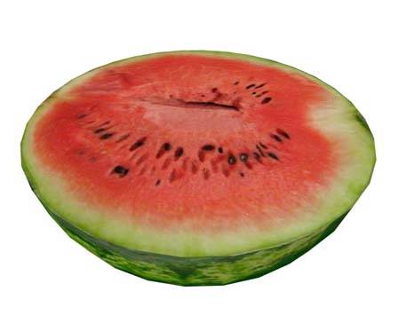 Watermelon fruit  by catafest