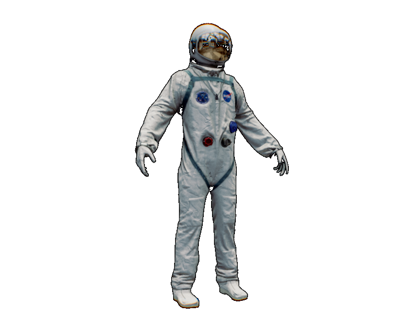 Gemini Suit