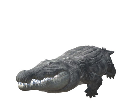 Nile Crocodile Swimming by Monster