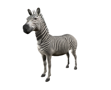 Zebra by Nyilonelycompany